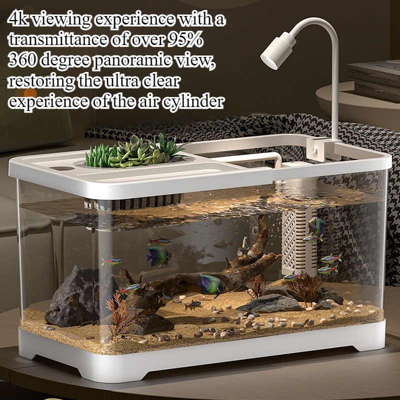 Marine Aquarium With Sump - 水槽 家庭用水槽 リビングルーム 卓上 生態循環水槽 フィルター