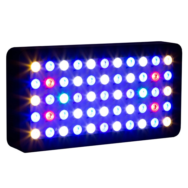 Marine Aquarium Used - 3WチップLED アクアリウム用 プログラム可能なサンゴ礁用 LED アクアリウムライト マリンアクアリウムLED
