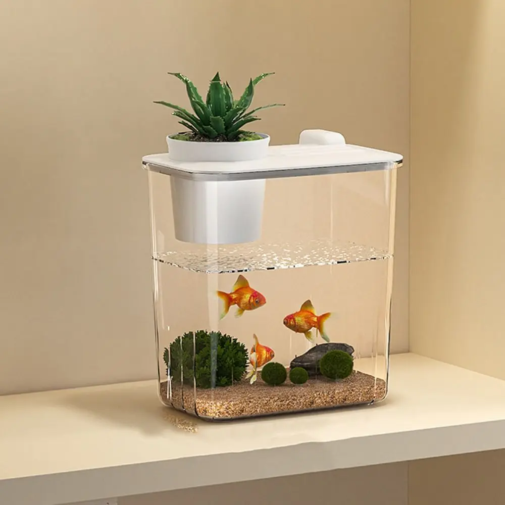 水槽デスクトップフィッシュタンクウォーターポンプ高透明フィル - Marine Aquarium With Sump のレビューと価格