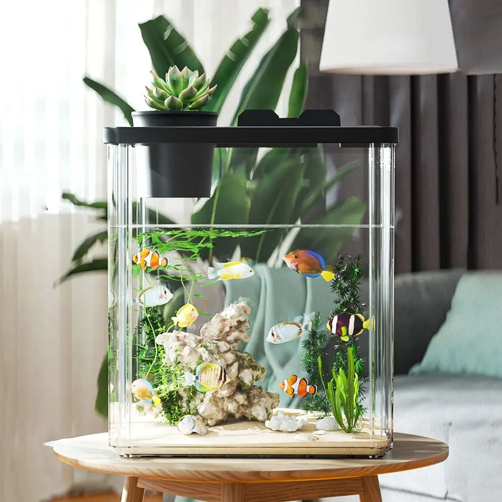 水槽デスクトップフィッシュタンクウォーターポンプ高透明フィル - Marine Aquarium With Sump のレビューと価格