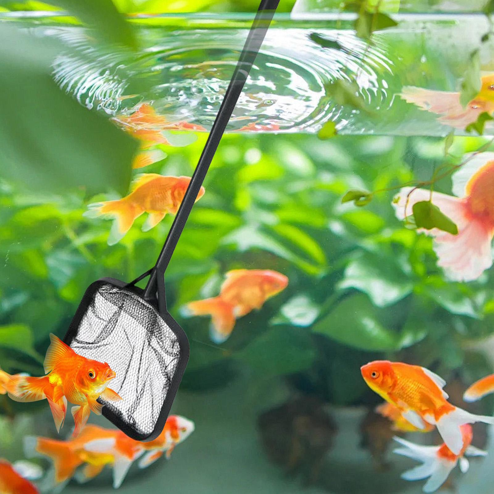 プールネット 清掃用 ポータブルプールストレーナーネット 噴 - Marine Aquarium Equipment のレビューと価格