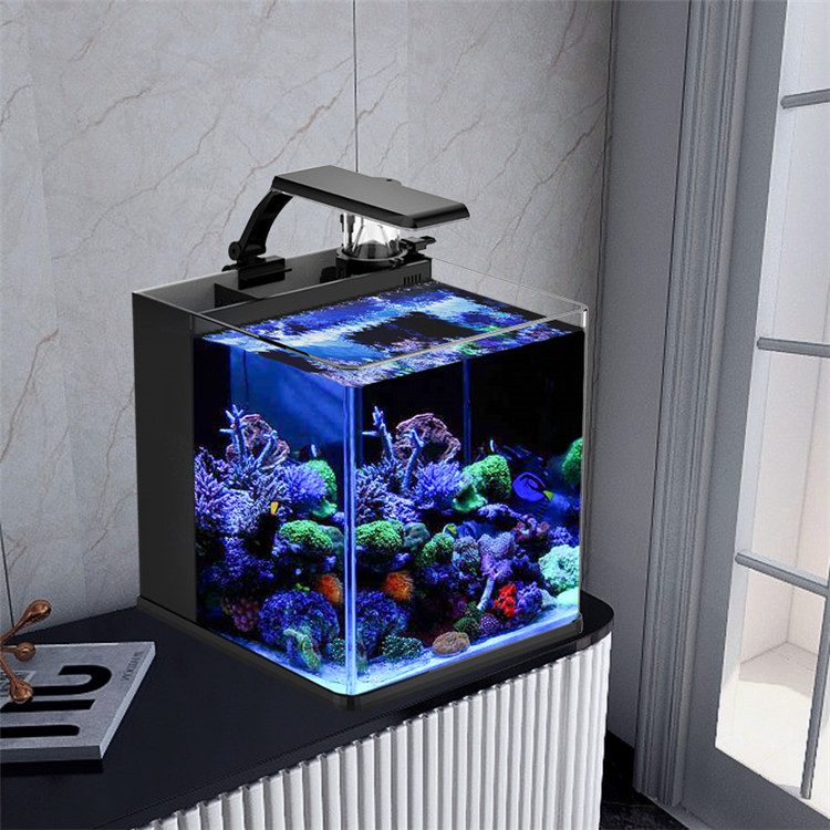 スカイヌオ ウルトラクリアガラス ミニ海水海洋水槽 メディア - Aquarium Marine Clearwater のレビューと価格