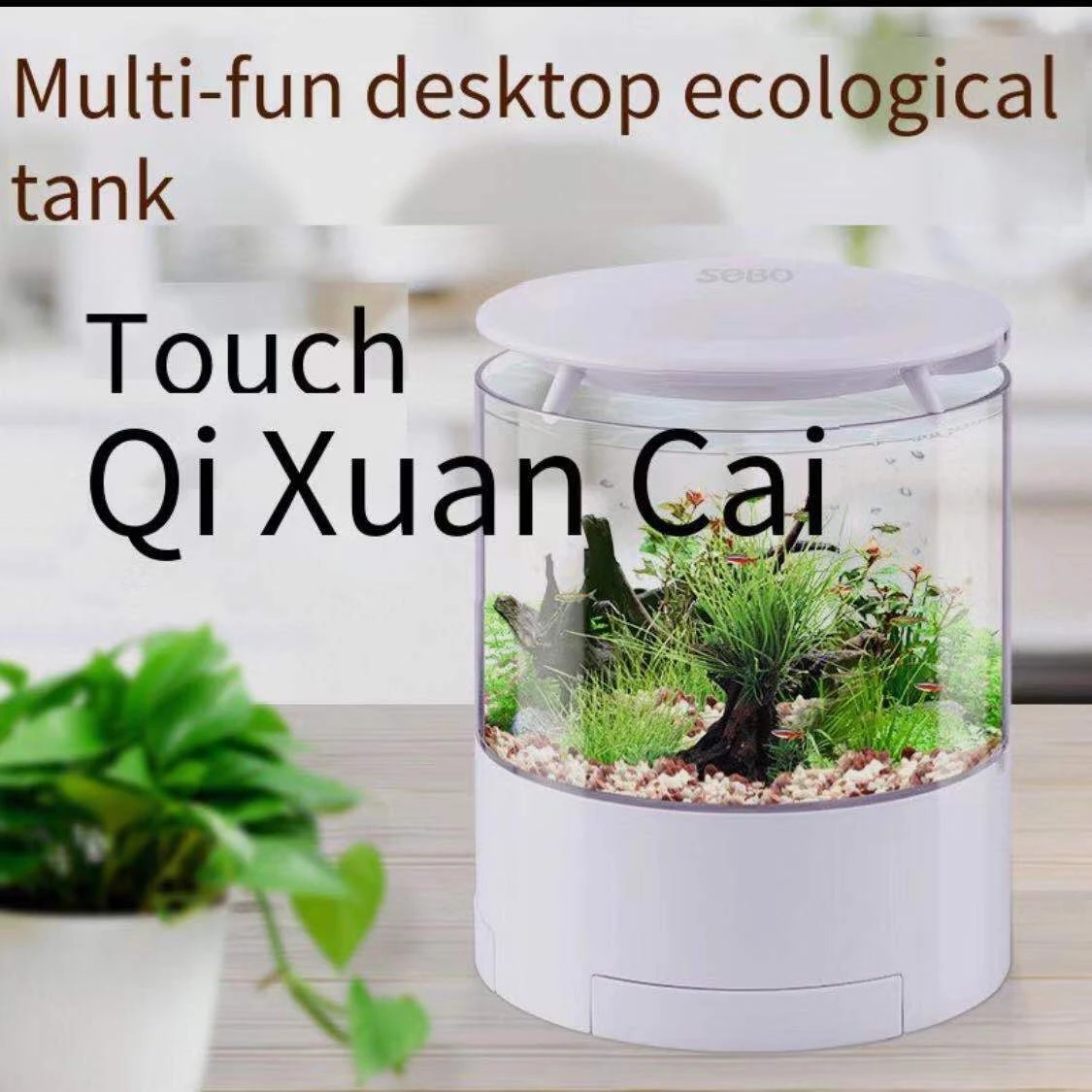 ラウンドカラフルなライトデスクトップ水槽ミニ戦闘水槽小さな金 - Marine Aquarium With Sump のレビューと価格