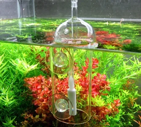 Viv do-魚や植物用の溶解酸素シリンダー、クリスタルガラ - Aquarium Marine Plants のレビューと価格