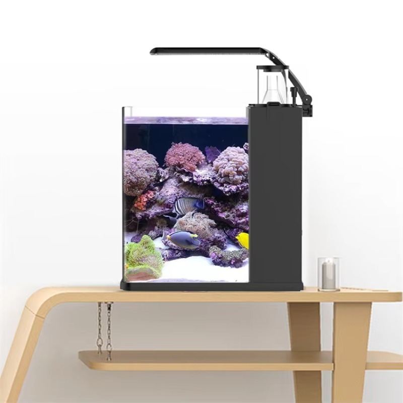 超透明ガラス製ミニ海水魚水槽（海洋用） - Aquarium Marine Clearwater のレビューと価格