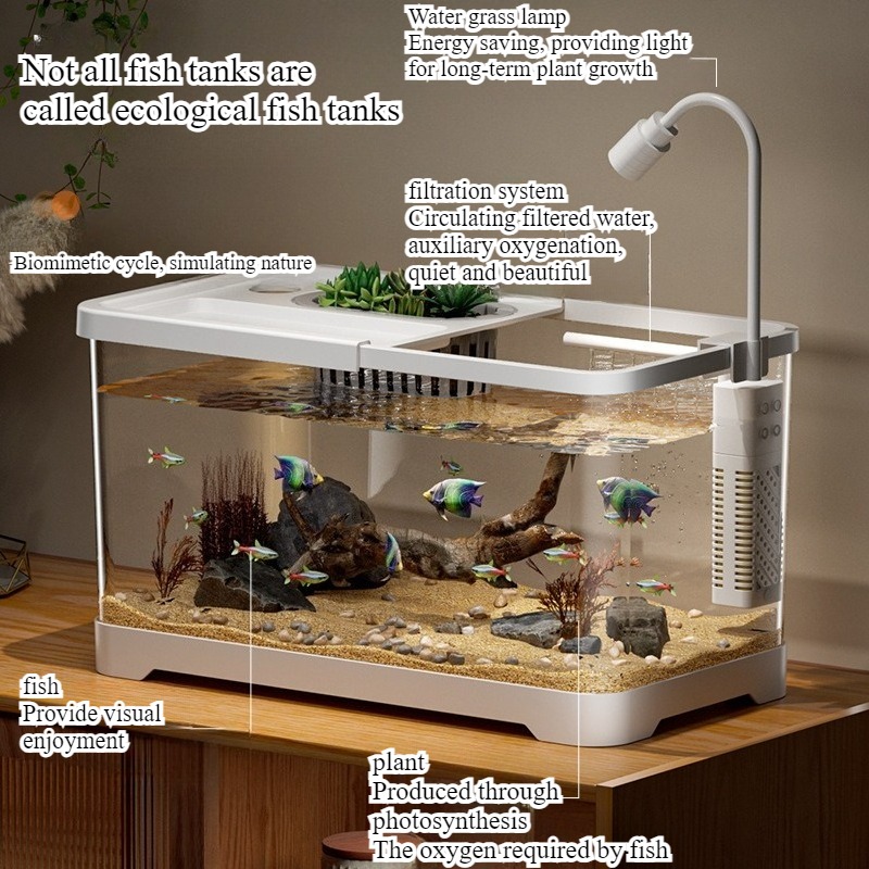 水槽 家庭用水槽 リビングルーム 卓上 生態循環水槽 フィル - Marine Aquarium With Sump のレビューと価格