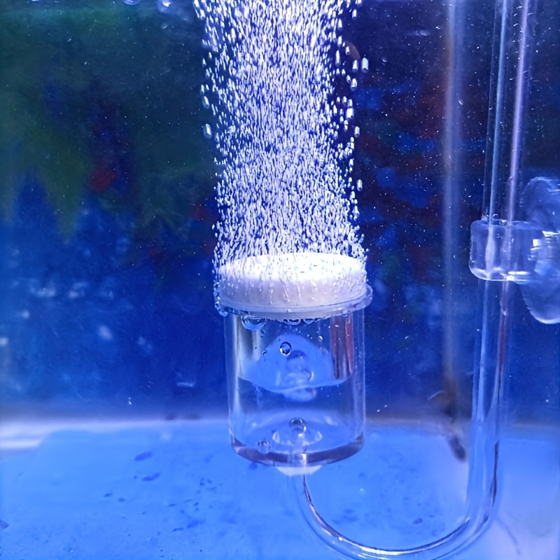 水族館用のCO2噴霧器とディフューザー,バブルカウンター,吸 - Aquarium Marine Plants のレビューと価格