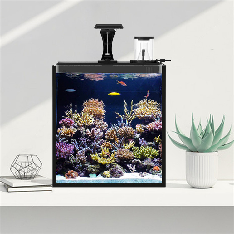 超透明ガラスミニ海水水槽メディアプラスチック製魚タンク25ガ - Aquarium Marine Clearwater のレビューと価格
