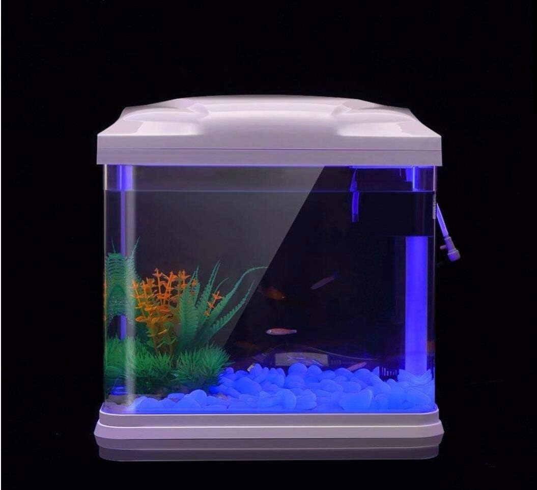 水槽岩グローブルー小石庭用水槽水族館植木鉢盆栽歩道私道 - Aquarium Marine Plants のレビューと価格