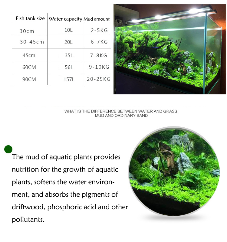 水族館植物の種子,水槽の素材,砂,土壌肥料,魚の手入れ,淡水 - Aquarium Marine Plants のレビューと価格