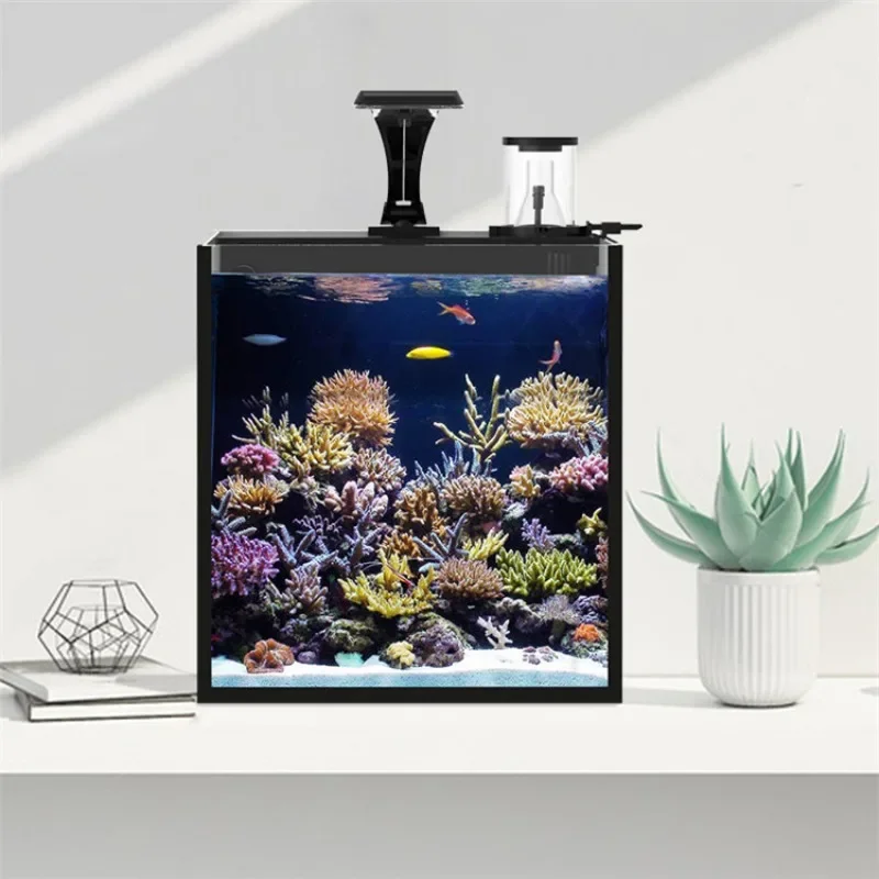 超クリアガラス製ミニ海水魚水槽（海水魚用）大特価販売中 - Aquarium Marine Clearwater のレビューと価格