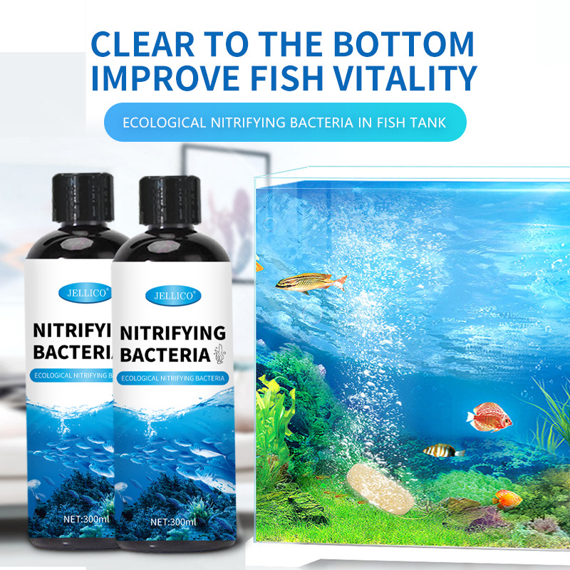 300ml 窒化細菌水槽浄水器 魚の排泄物を分解し、淡水・海 - Aquarium Marine Clearwater のレビューと価格