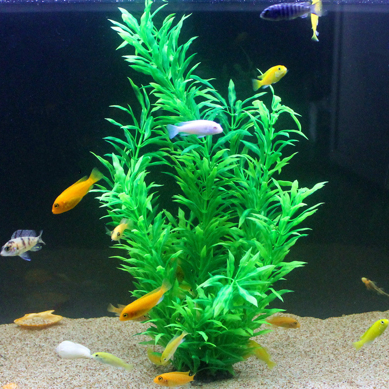 人工水槽50cm,珍しい植物,水族館,偽の竹の葉,水草,プラ - Aquarium Marine Plants のレビューと価格